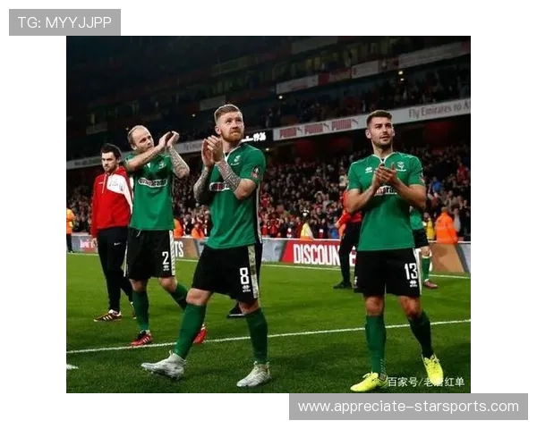 北京联赛足球最新赛季战况与球队实力全面解析